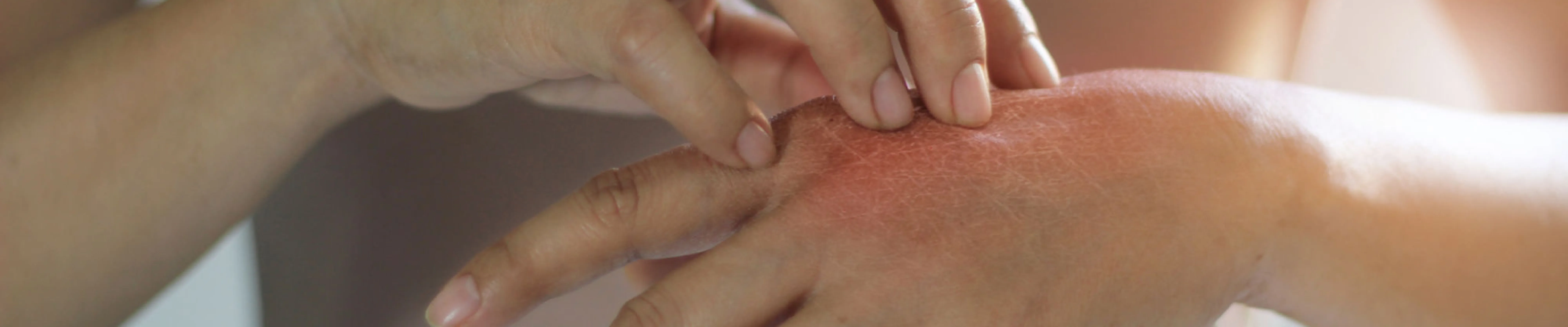 carpet cleaning in new jersey, carpet cleaning in new jersey, carpet cleaning new jersey, carpet cleaners in new jersey, carpet cleaners in new jersey, commercial carpet cleaning, commercial carpet cleaning in new jersey, new jersey rug cleaners, rug cleaning services in new jersey, same day carpet cleaning, same day rug cleaning