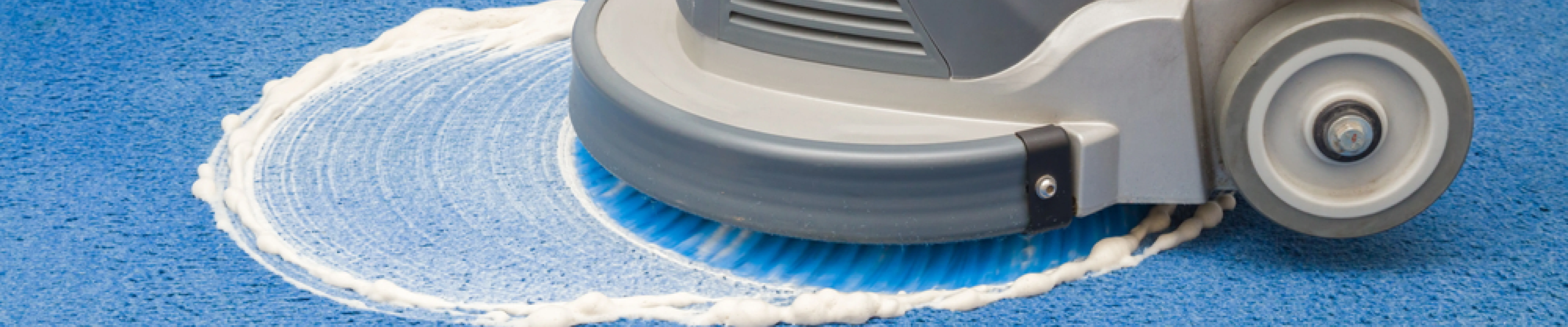 carpet cleaning in new jersey, carpet cleaning in new jersey, carpet cleaning new jersey, carpet cleaners in new jersey, carpet cleaners in new jersey, commercial carpet cleaning, commercial carpet cleaning in new jersey, new jersey rug cleaners, rug cleaning services in new jersey, same day carpet cleaning, same day rug cleaning