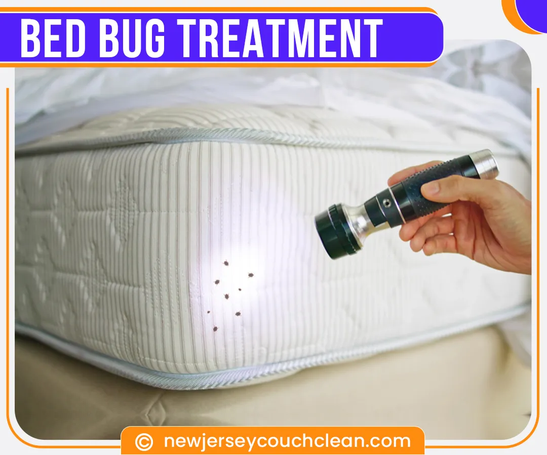 carpet cleaning in new jersey, carpet cleaning in new jersey, carpet cleaning new jersey, carpet cleaners in new jersey, carpet cleaners in new jersey, commercial carpet cleaning, commercial carpet cleaning in new jersey, new jersey rug cleaners, rug cleaning services in new jersey, same day carpet cleaning, same day rug cleaning 